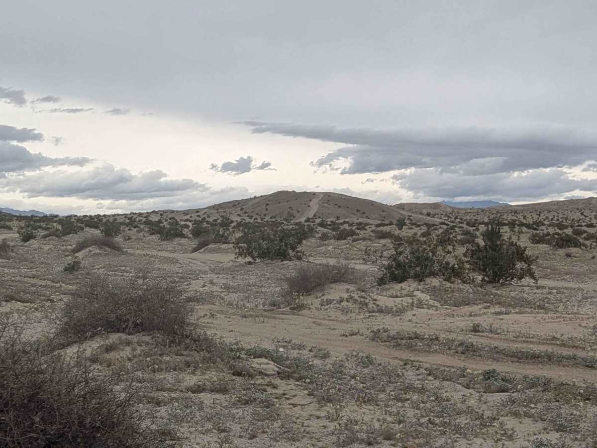 Ocotillo Trail Road photo 4
