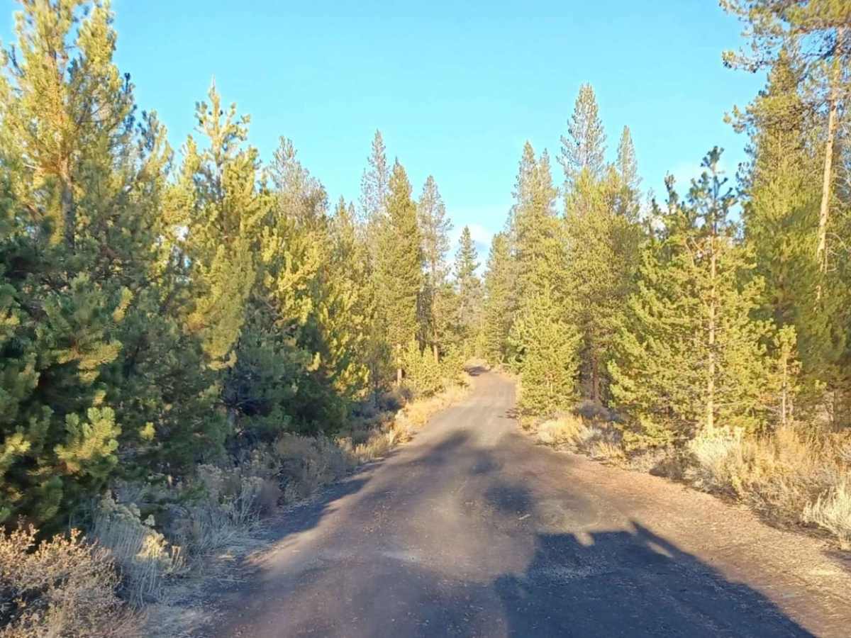 Katati #2424 trail photo