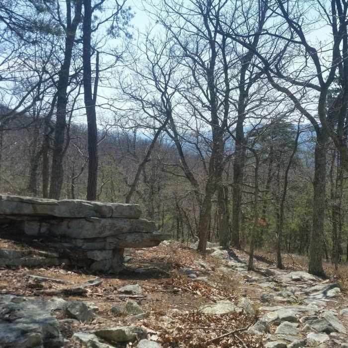 Almost to the top. Near Sherman Gap Trail
