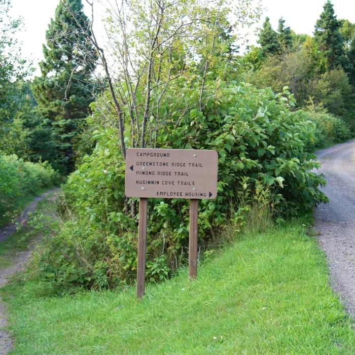 All you have is to go left Near Windigo Nature Loop