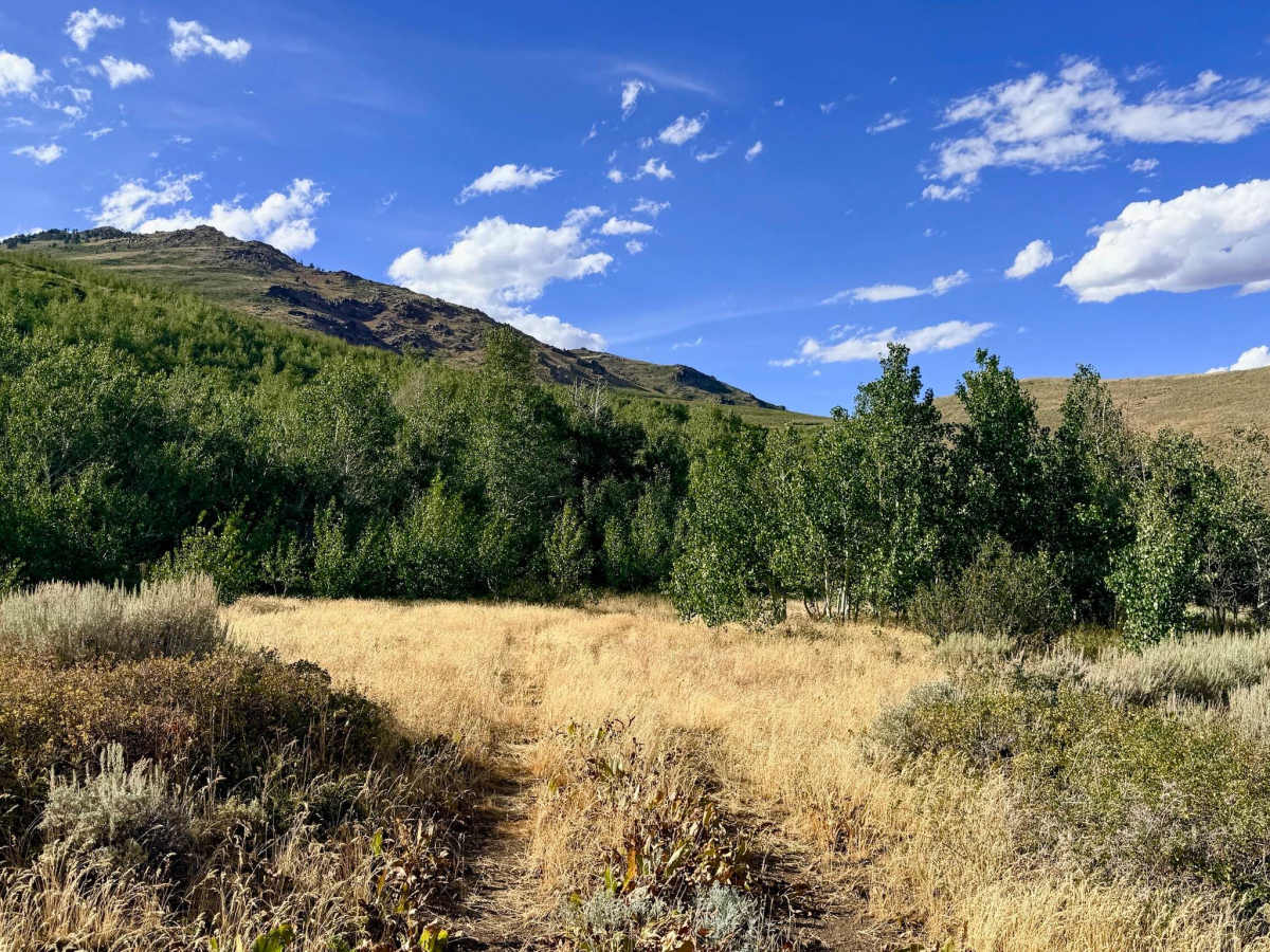 Winters Creek - FS 56135 photo 6
