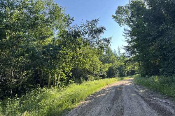 Northwoods Drive