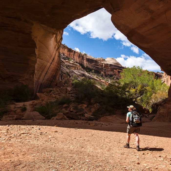 Near Kachina Bridge Trail