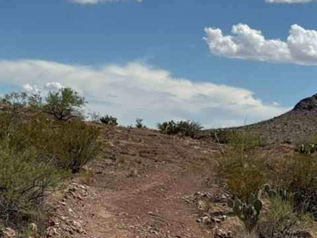 BLM PE1137 photo 2