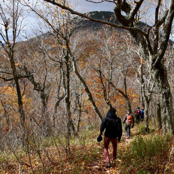 Near Catskills Black Dome and Blackhead Loop