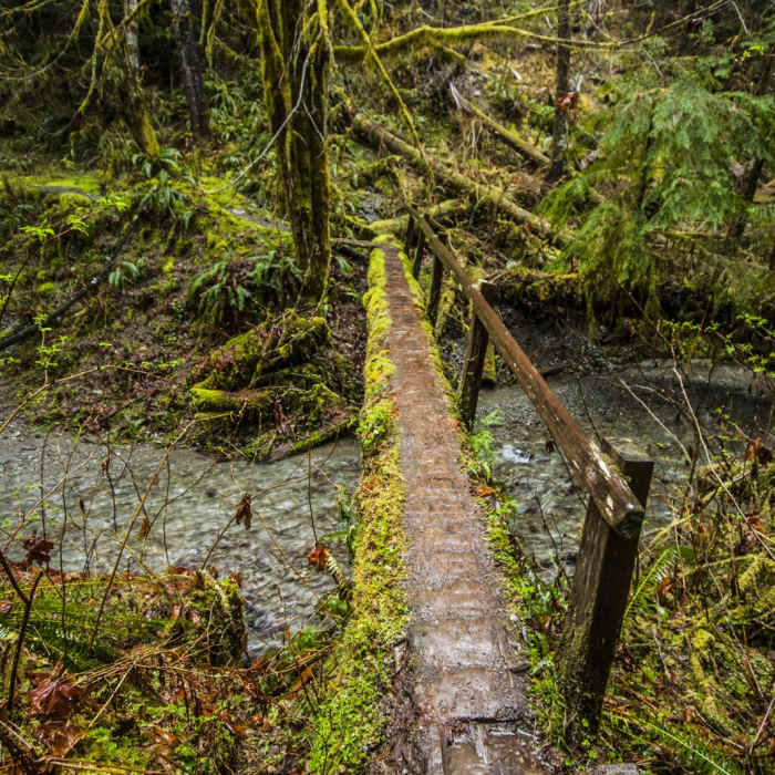 Near Enchanted Valley Trail to Pony Bridge
