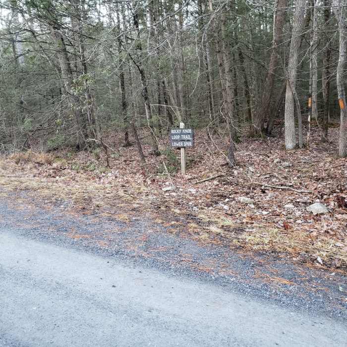 Near Rocky Knob Trail - West