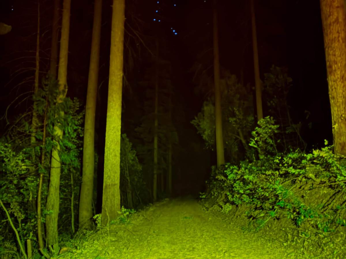 Ditch Road photo 4