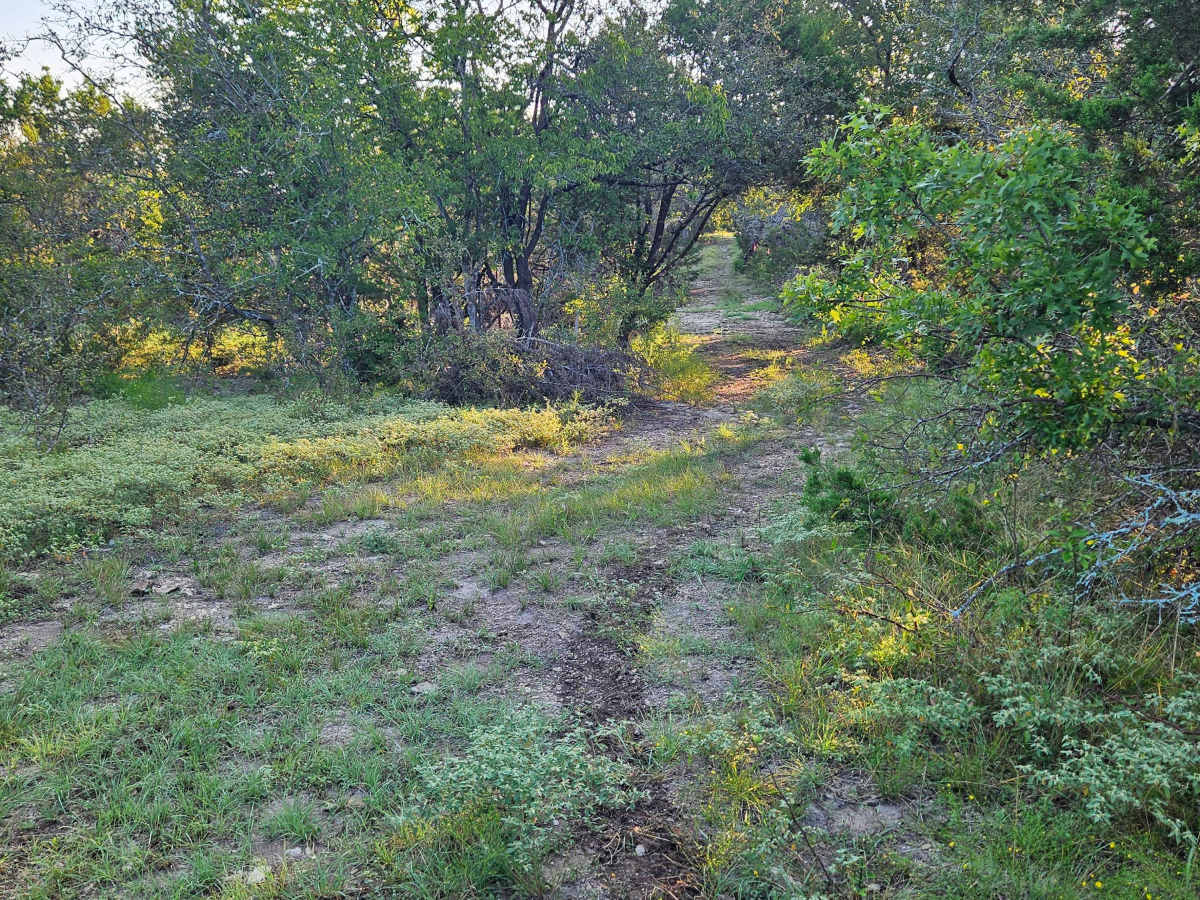 Iron Hoof photo 3