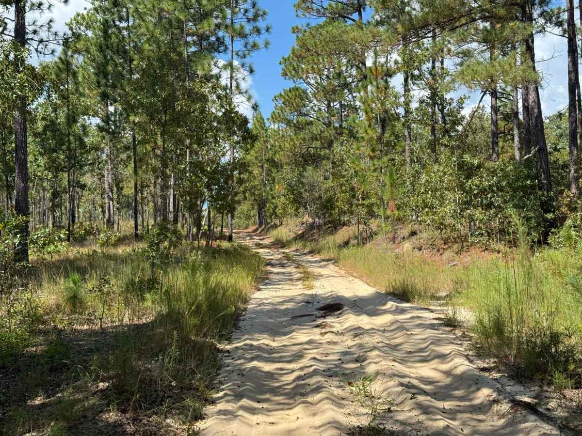 Naked Creek Lane photo 2