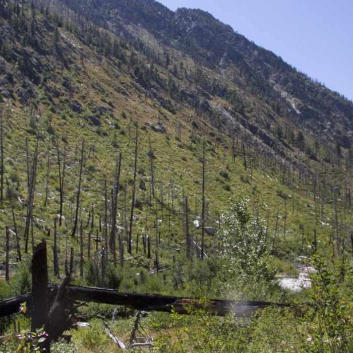 Near Baron Falls + Baron Lakes