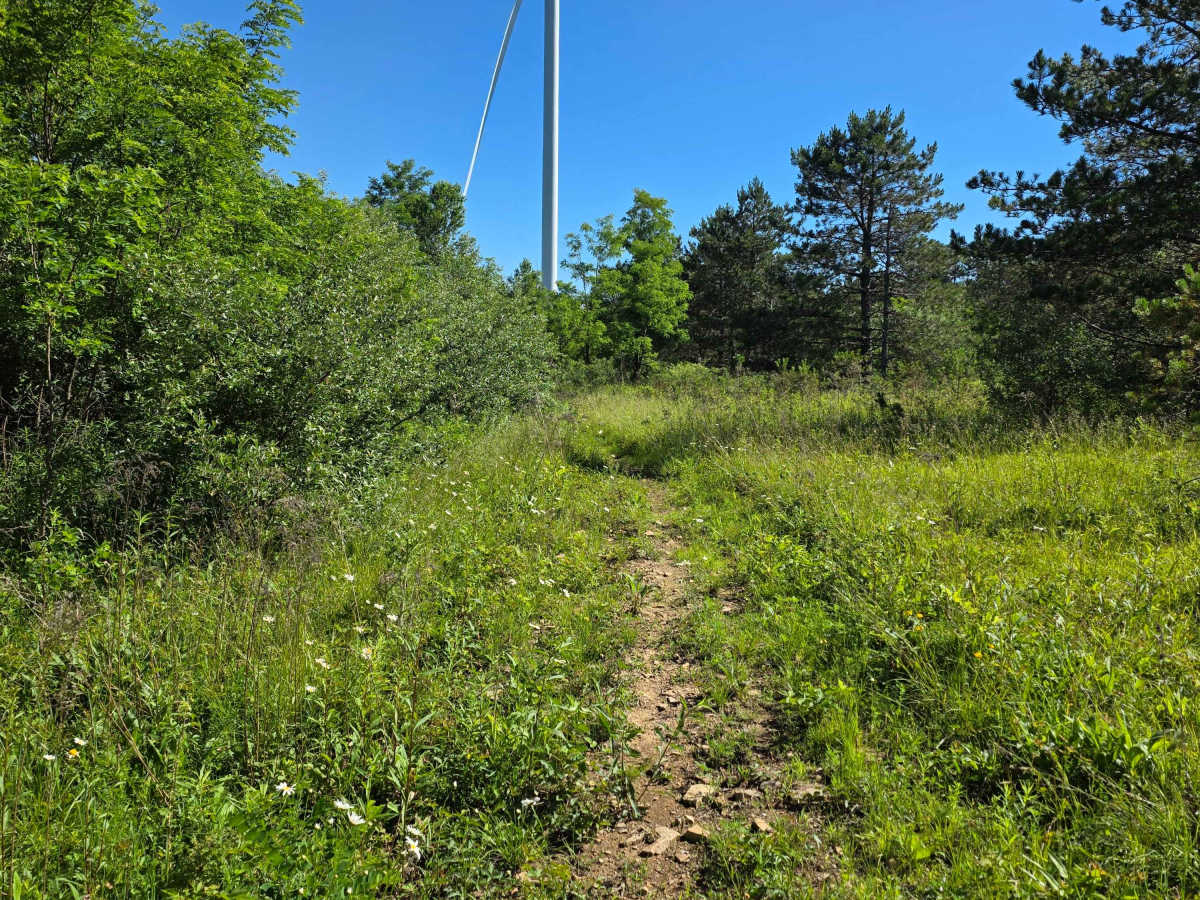 Single Track M1 photo 5