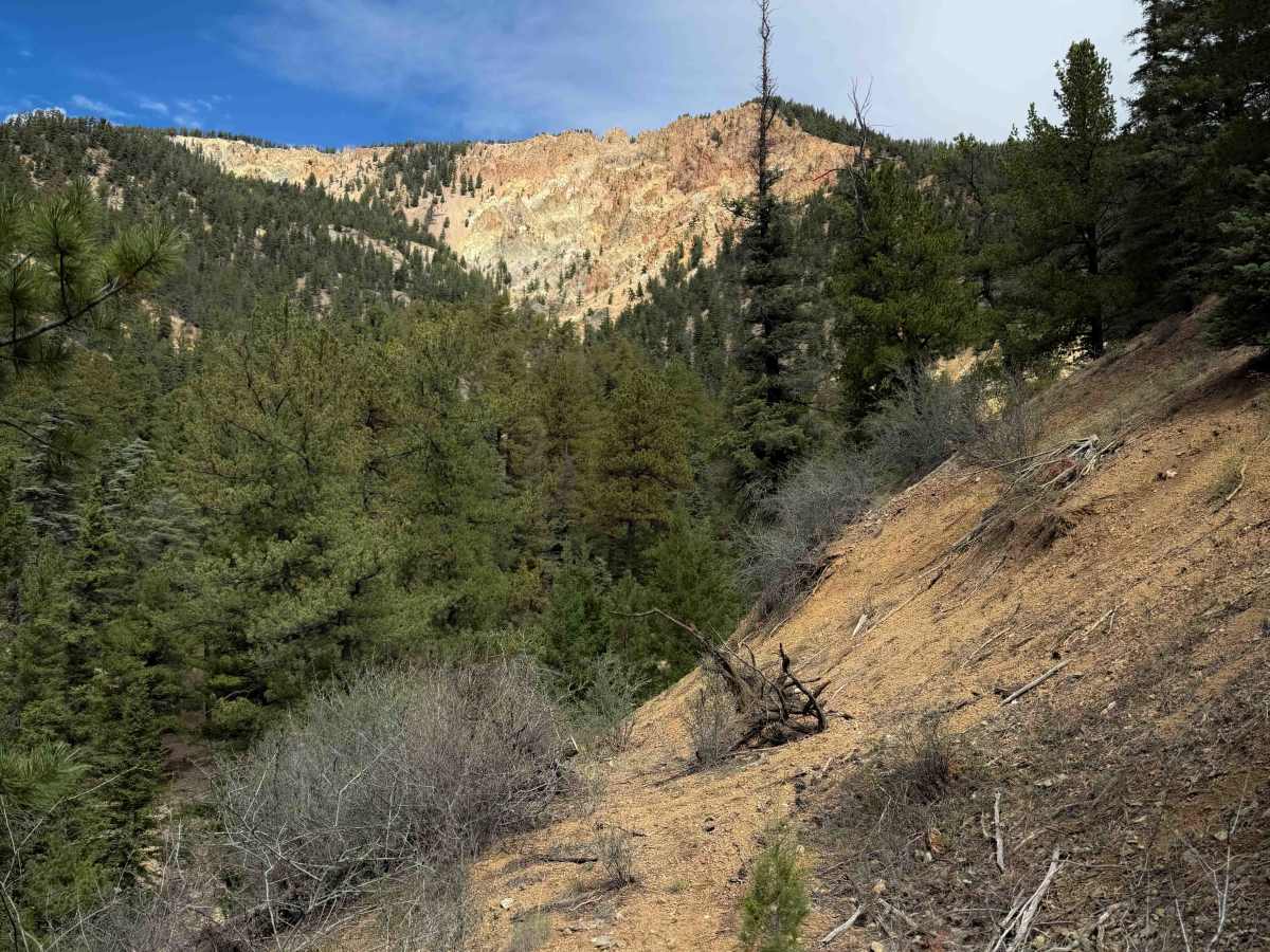 FS 195S Primitive Trail photo 5