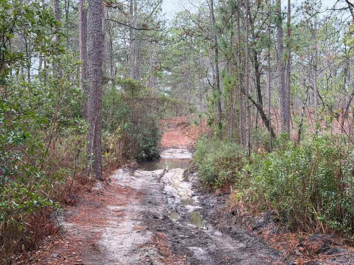 Strausburg Lane photo 6