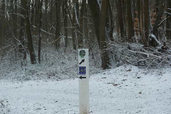 Trail 40
