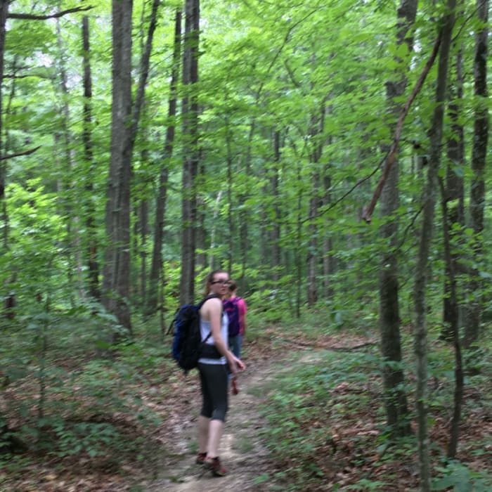 Decent path on Telegraph Trail Near Bear Creek Loop