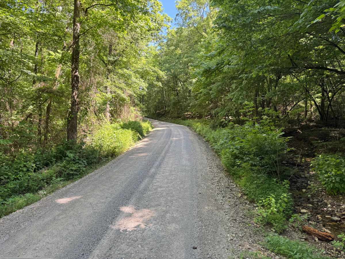North Gaston Mountain Road photo 3