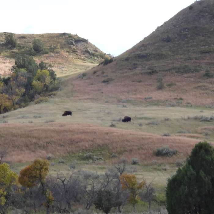 Near Jones/Lower Talkington/Lower Paddock Loop