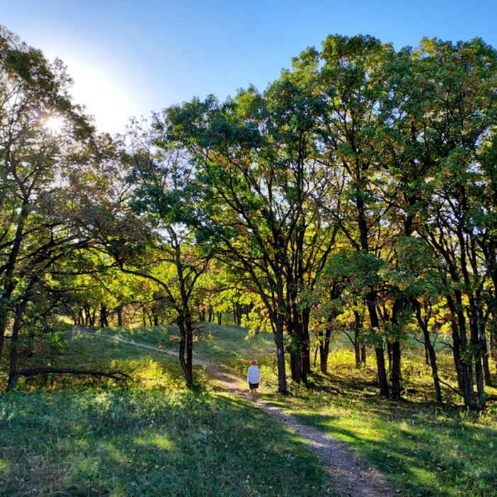 Near Oak Leaf Loop Trail