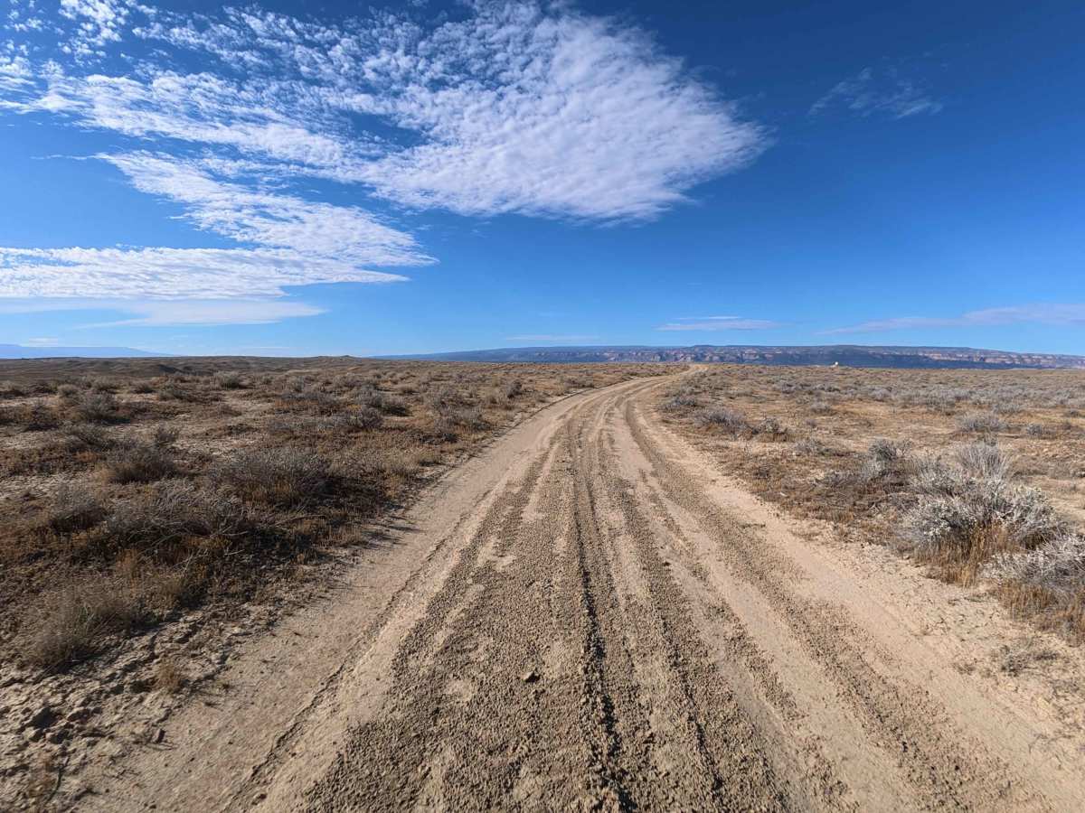 BLM 181 photo 5