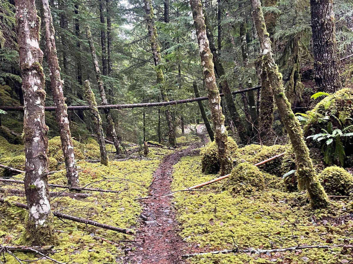 Lava Ridge 1 photo 3