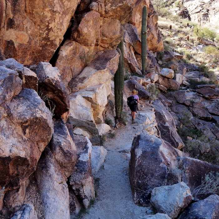 Along the Ford Canyon Trail Near Ford Canyon Trail