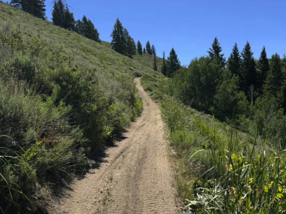 Virginia Gulch - FS 7037 photo 5
