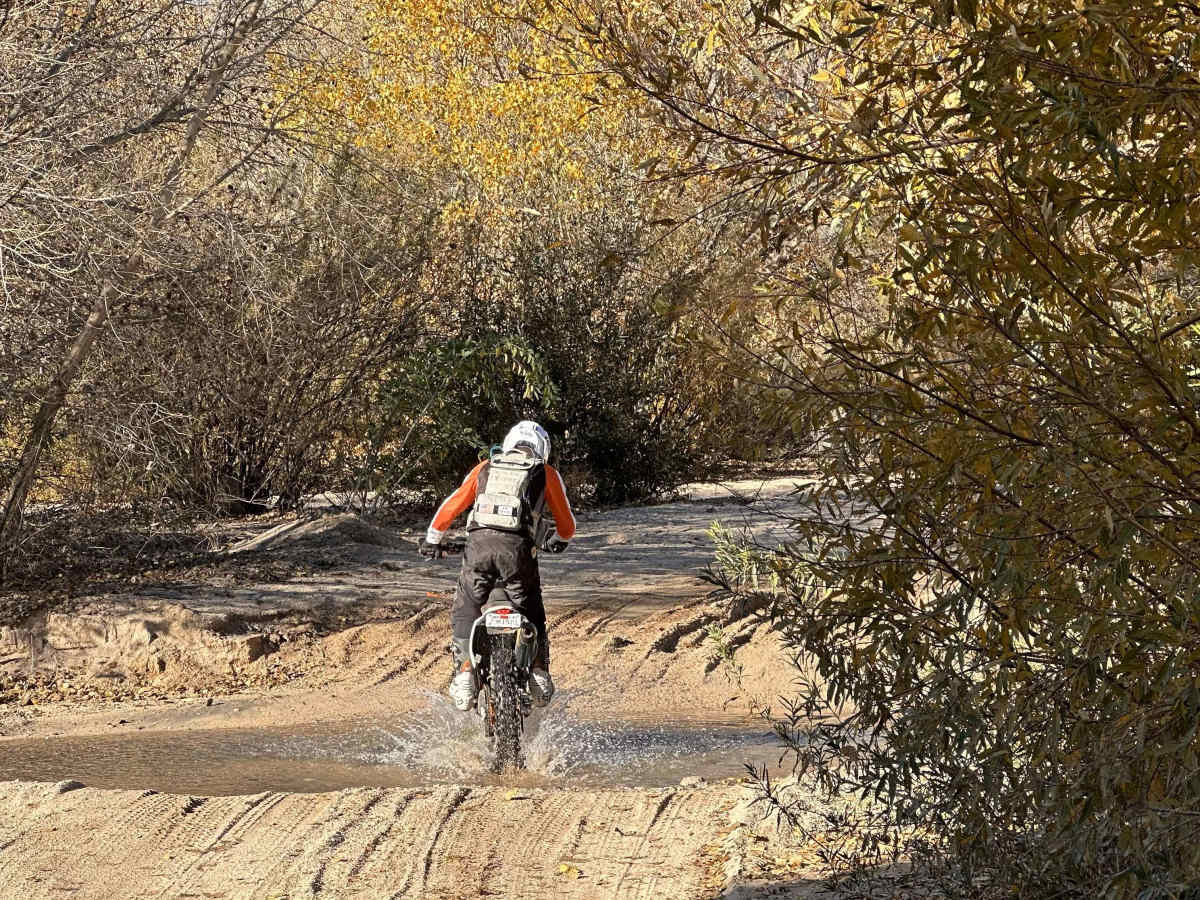 Cleghorn Tracks photo 5