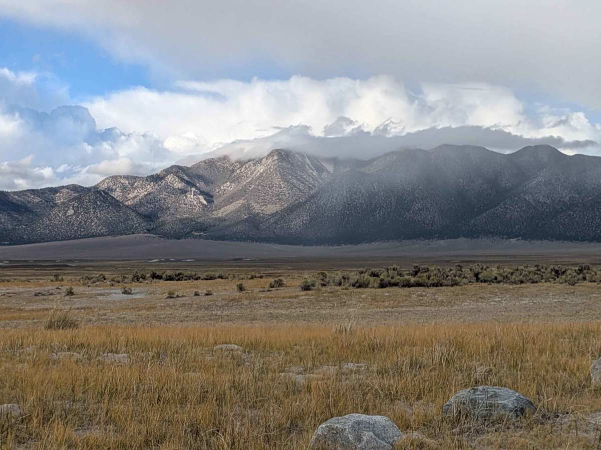 Wild Willy's Hot Springs photo 4