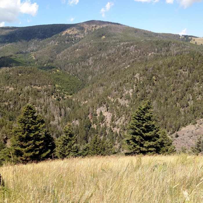 Near North Dry Creek