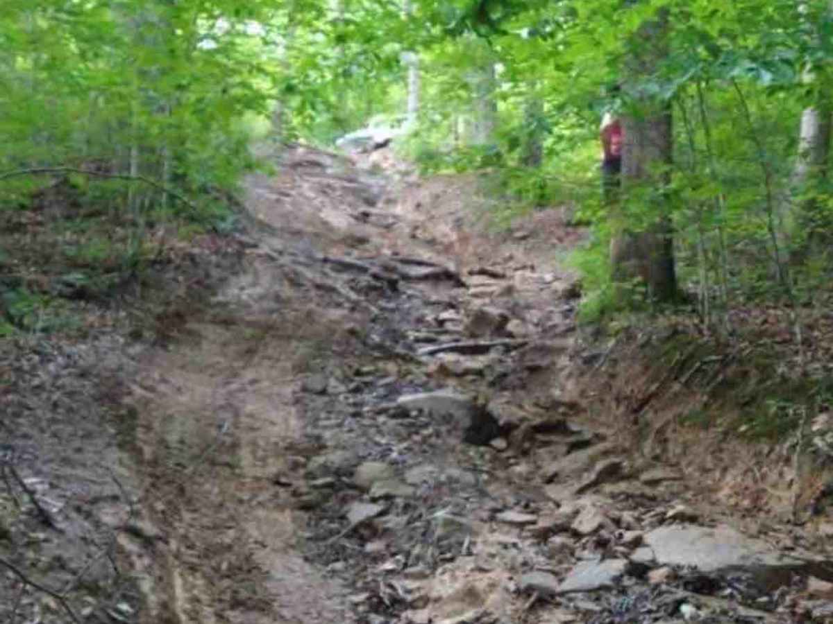 Wade Adkins Branch Road photo 2