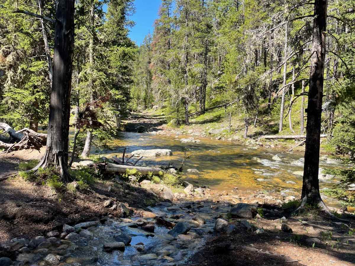 Wyoming Big Horns trail photo