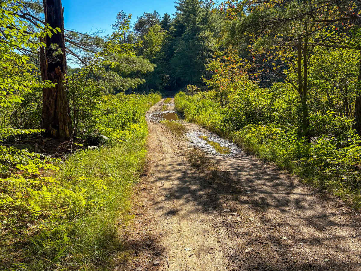 Shenipsit Trail System photo 5