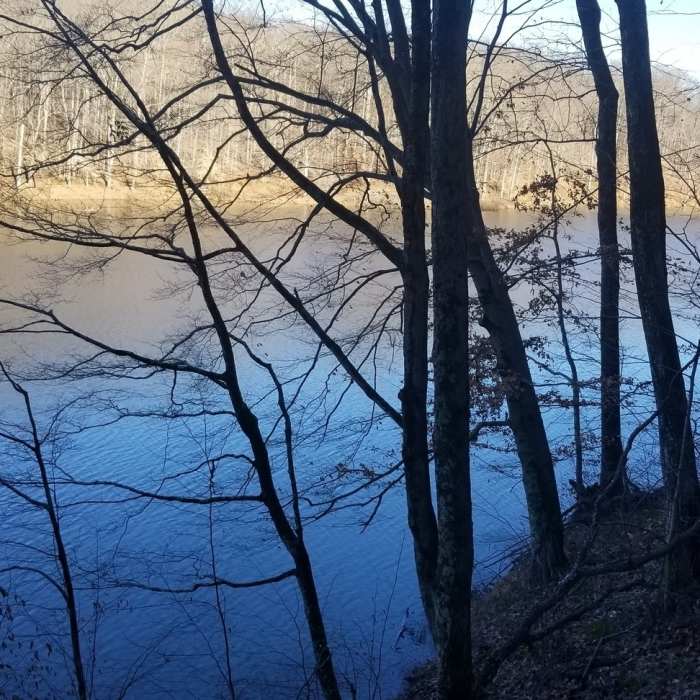 Near Ogle Lake Trail #7