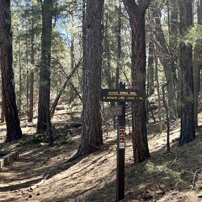 Near Navajo Spring Trail