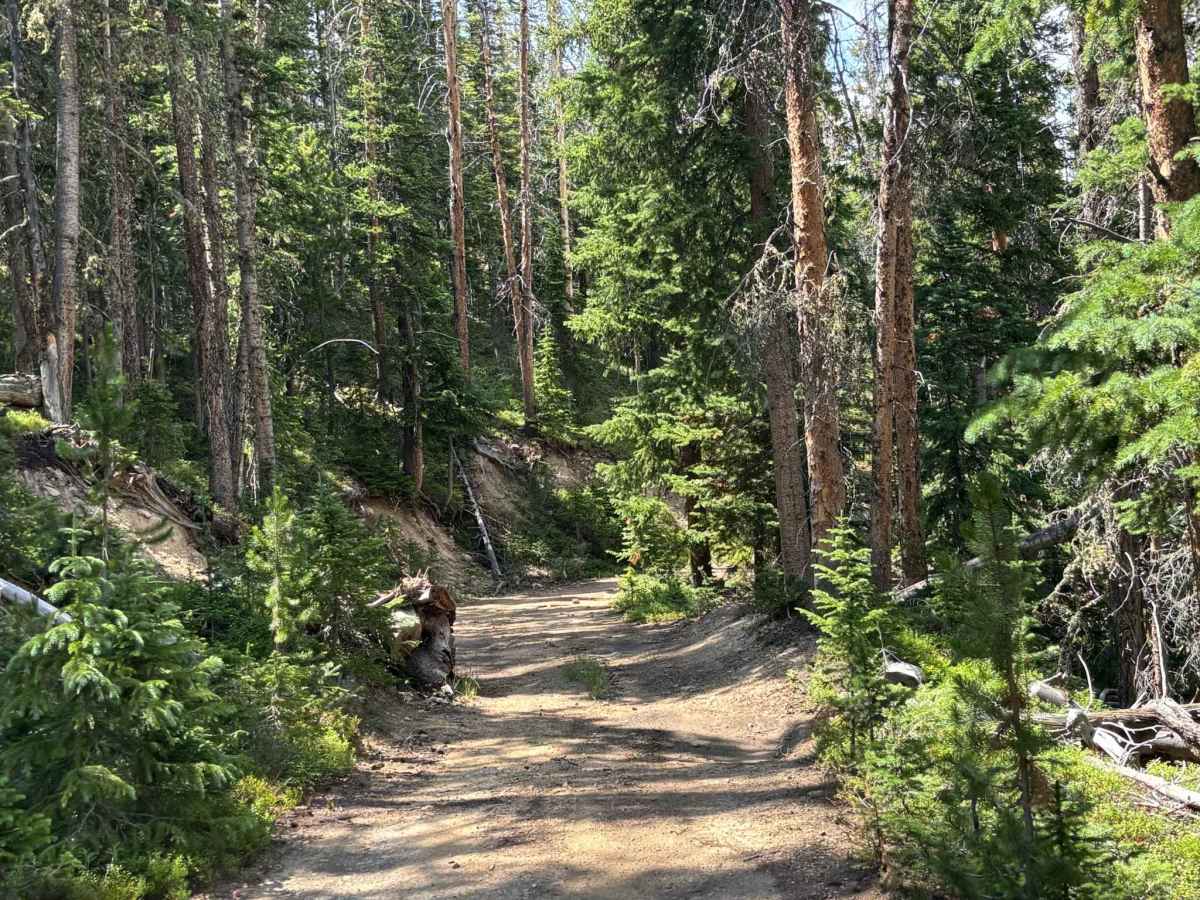 Hot Sulphur Spur Road photo 3