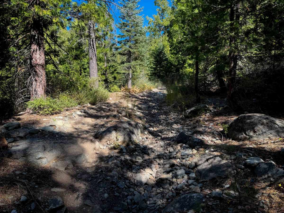 Pauley Creek  photo 3