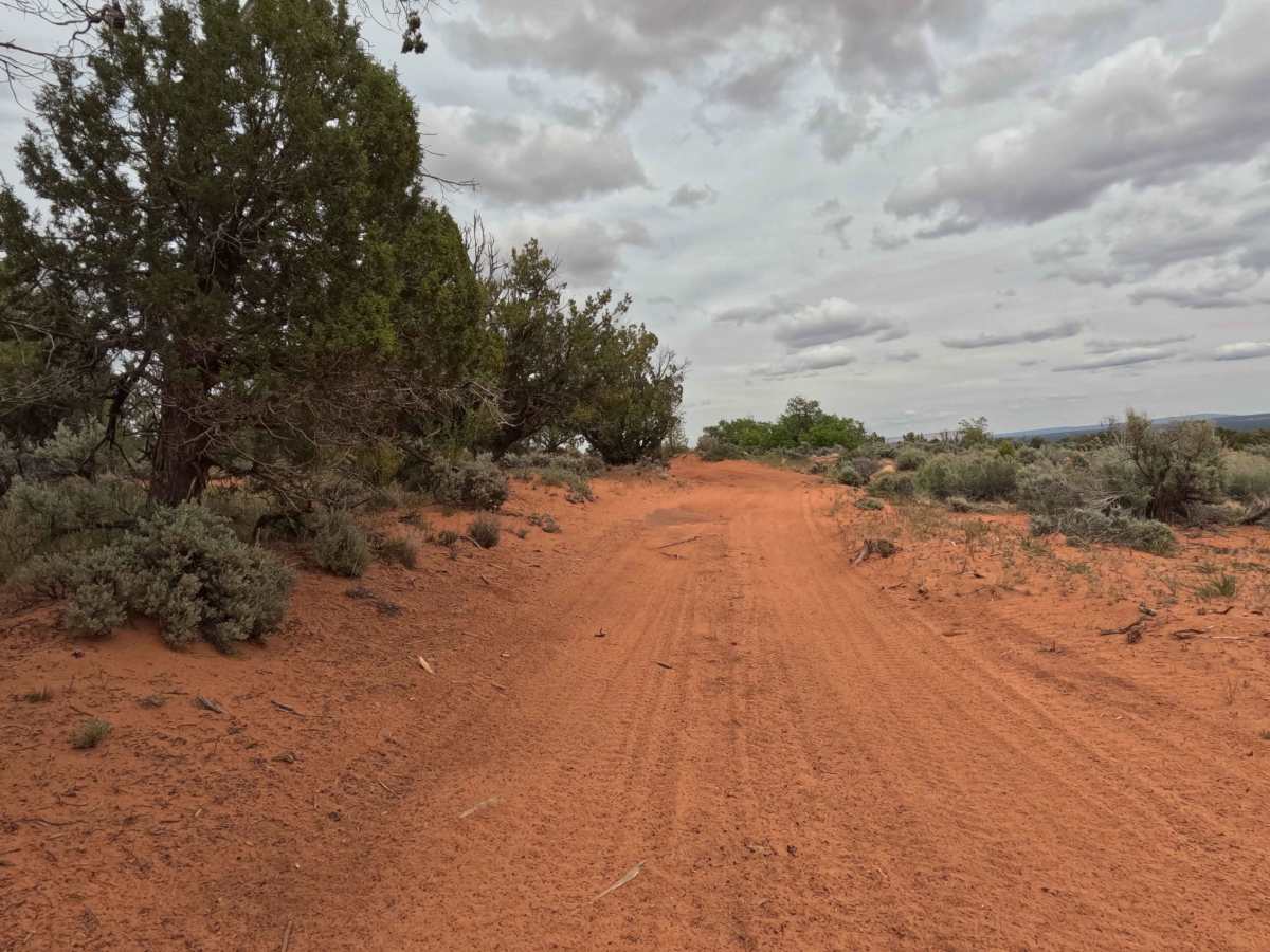 BLM 62 photo 5
