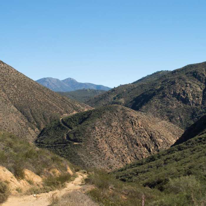 Near Cedar Creek Falls