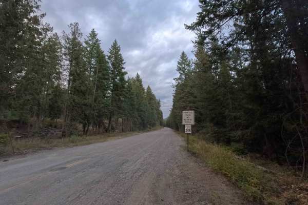 Kings Lake Road - FS 50