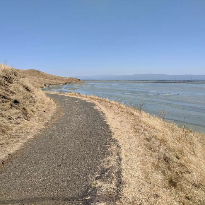 Near Coyote Hills Half Marathon Loop