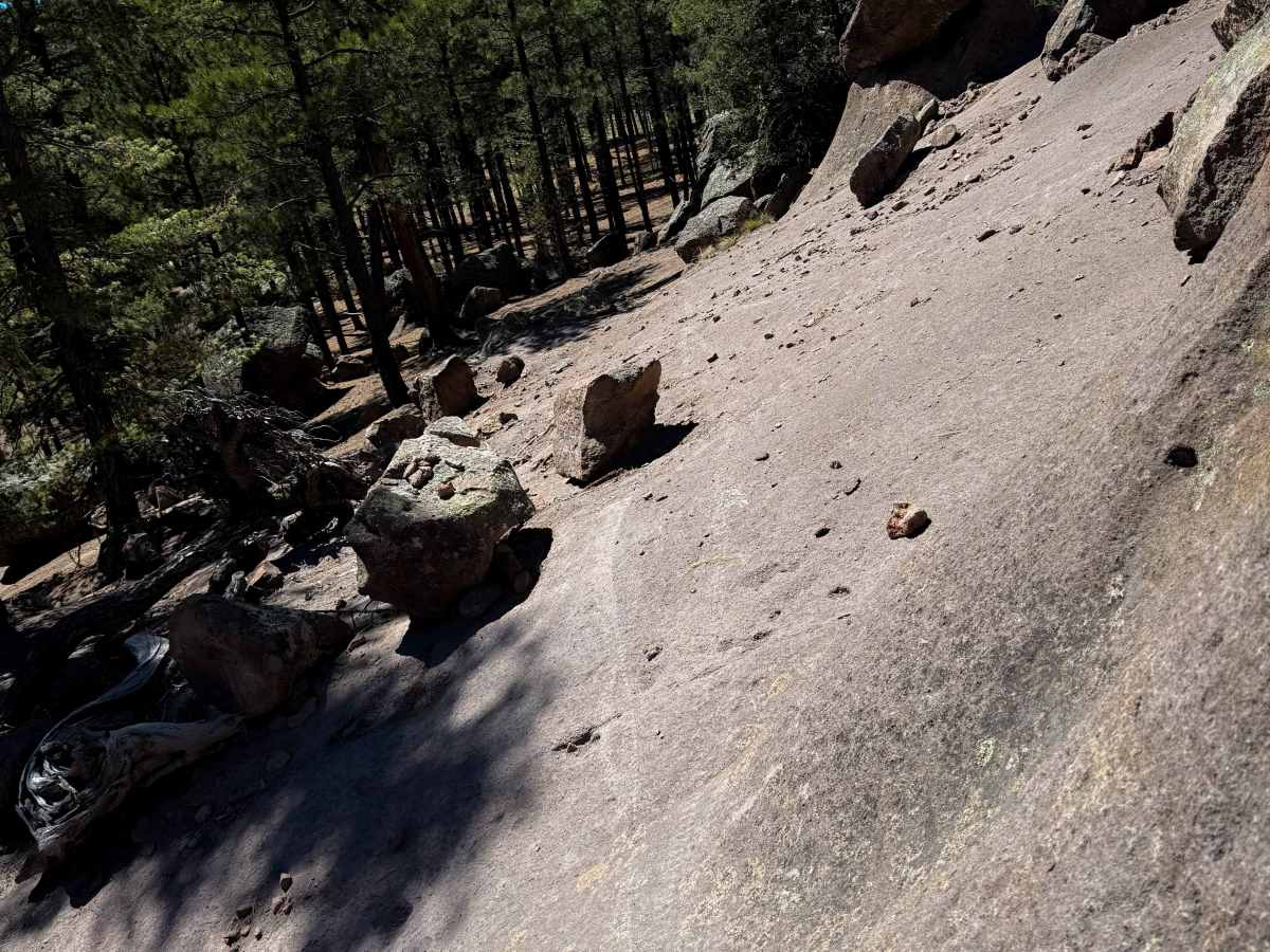 Lake Fork Mesa - 505  photo 3