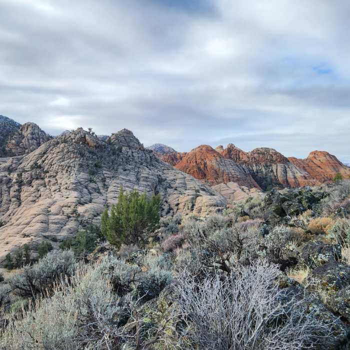 View from the trailhead Near The Vortex