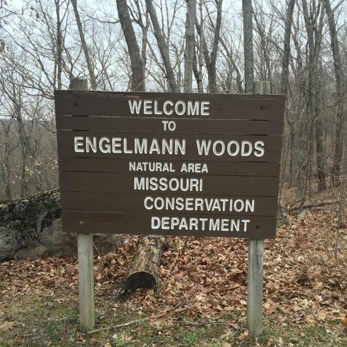 Near Engelmann Woods Hiking Trail