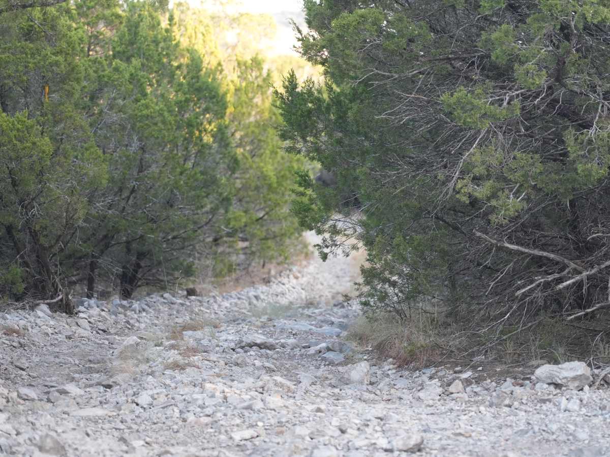 Blue 47 trail photo