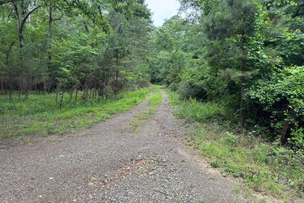 Proctor Mountain