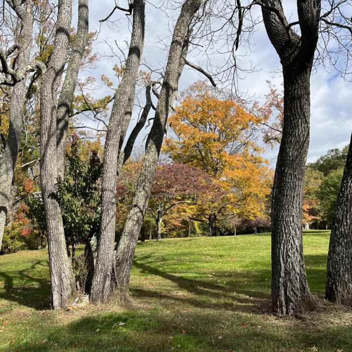 Near Washington Crossing State Park Loop Near Washington Crossing State Park Loop