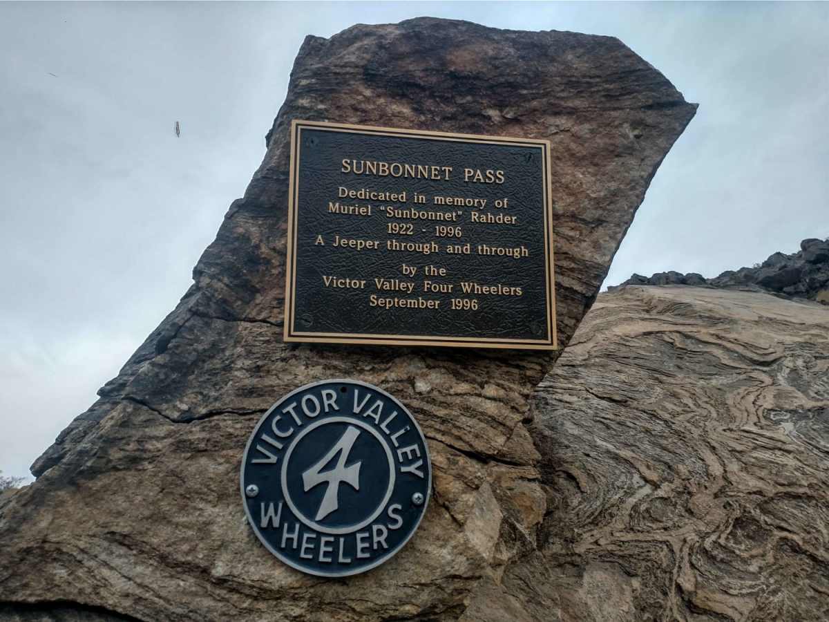 Sunbonnet Pass trail photo