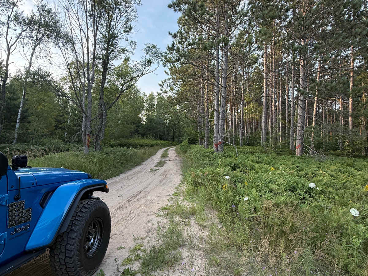 8.6-1/2 Trail trail photo
