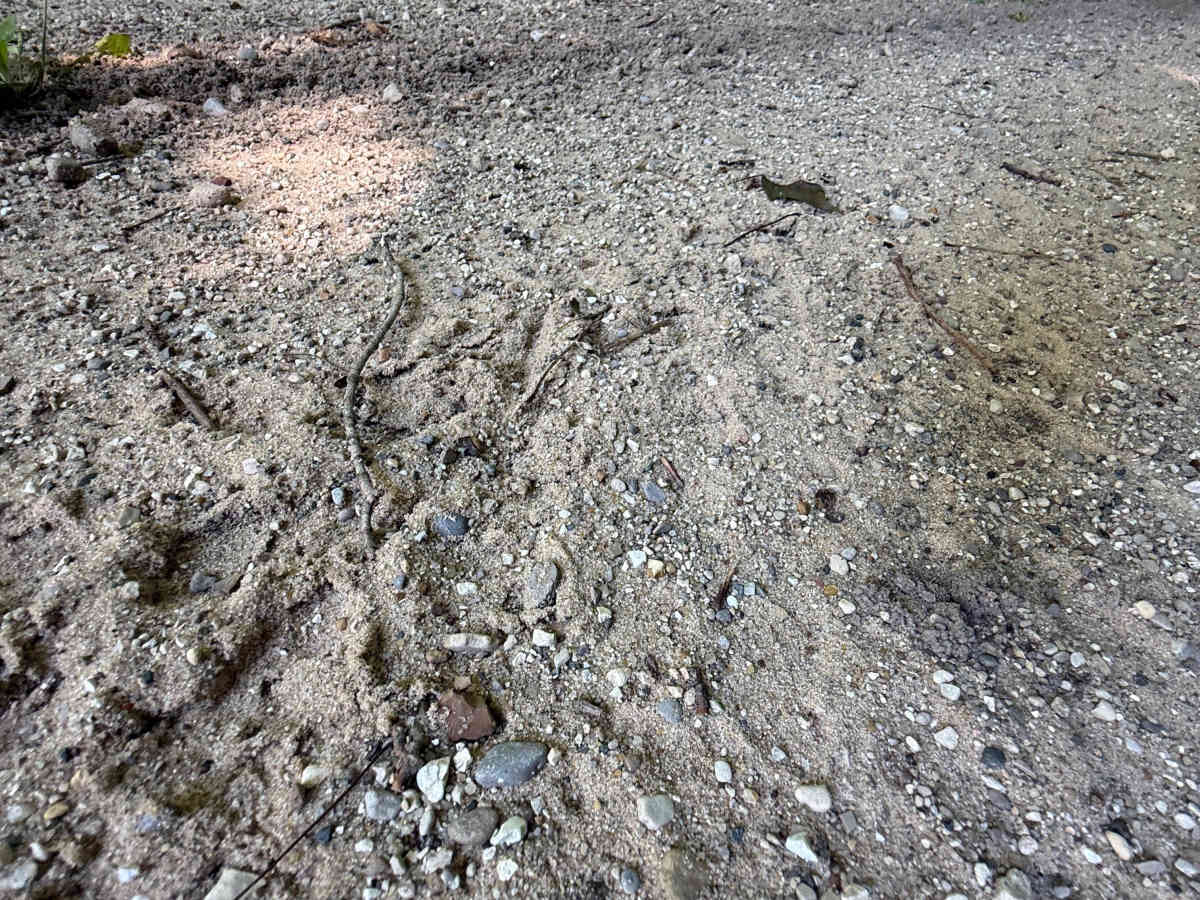 Alkire Trail photo 3